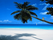 Monkey Island Mac Free Download
